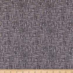 Westrade Textiles Westrade 110" Wide Quilt Back Betula Pewter Fabric