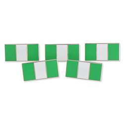 Forge Nigerian Flag National Flag Nigeria Lapel Pin 5 Pins