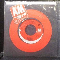Sting - All This Time I Miss You Kate - 7" Vinyl 45 Record