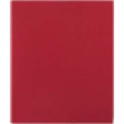 A4 Red Ringbinder File
