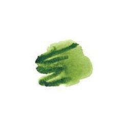 Watercolour - Sap Green Sticks