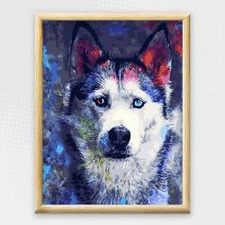 Adult Paint By Numbers With Frame - Soulful Husky