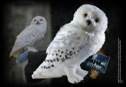 Plush Hedwig Giant - Harry Potter