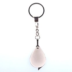 1 X Bluecell Silver Color Eyeglass Magnifying Glass With Key Ring