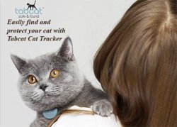 tabcat pet tracking cat collar tracker system