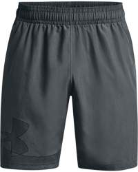 Men's Ua Woven Graphic Shorts - Pitch Gray Md