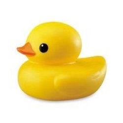 tolo bath duck