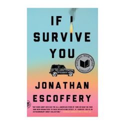 If I Survive You Paperback