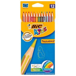 BIC Colouring Pencil Evolution Stripes 12PK