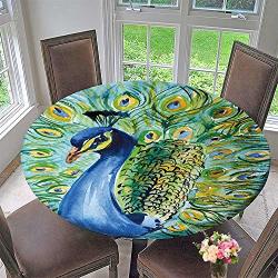Pinafore Home Modern Table Cloth Peacock Indoor Or Outdoor Parties 59"-63" Round Elastic Edge