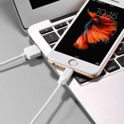 Hoco Fast Charging 1M Lightning Cable For Iphone - X1