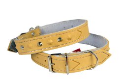 Dog Collars Leather pvc Moulded No 7 30MM X 62CM