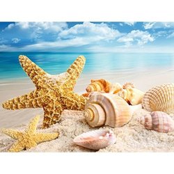 DIAMOND PAINTING Full Square 5D Diy Drill Seastar Seashell Sea Beach Sand Rhinestone Embroidery Arts Craft Paint-by-number Kits Cross Stitch For Home Wall Decoration