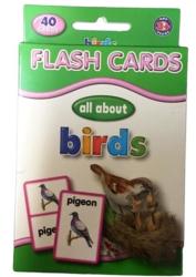 Flash Cards - Birds