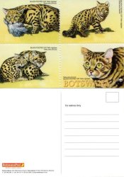 Botswana - 2005 Wwf Black-footed Cat Postcard Mint