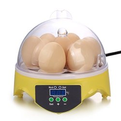 Noeler Egg Incubator New Digital Model MINI Egg Incubators For Chicken Duck Goose Quail Birds Fertile Eggs For Hatching