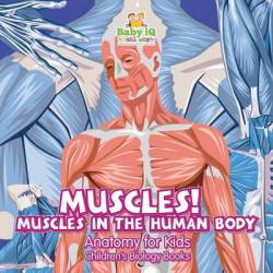 Muscles Muscles In The Human Body -anatomy For Kids - Children's Biology Books
