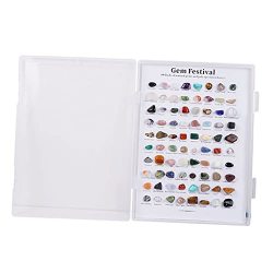 Colcolo Rock And Gem Collection Rocks Set Rock Collection Mineral Kit Gem Stones For Party Classroom Geology Education Kids