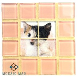 Mosaic Project: Decoupage Coaster - Cat 5. Diy Kit