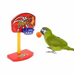 Hisoul Pet Parrot Toys Parakeet Bell Prop Chew Set Basketball Hoop Balls Intellectual Developmenttoys For Small Parrots To Use Random