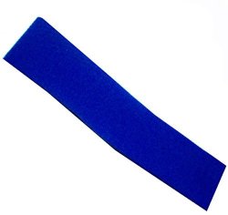 Plain Sushi Neckerchief In Blue