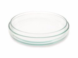 Petri Dish Glass