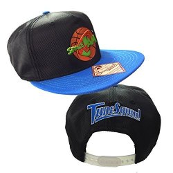 space jam hat nike