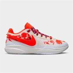 Nike Men&apos S Lebron XX Premium Multi-color Sneakers