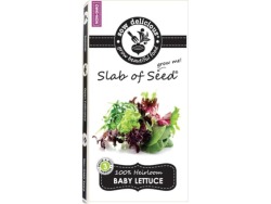 SOW Delicious Gourmet Slab Of Seed Baby Lettuce