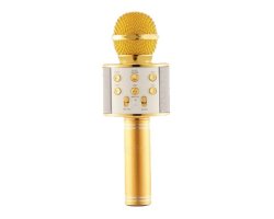 EVERLOTUS Wireless Karaoke Microphone - Gold