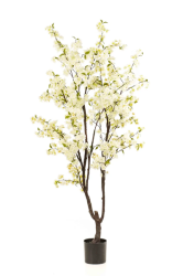 Cherry Blossom Artificial Trees - 2.1M