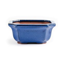 Assorted Glazed Bonsai Pots 5" - Blue Rectangle With Decorative 13 X 11 X 6CM