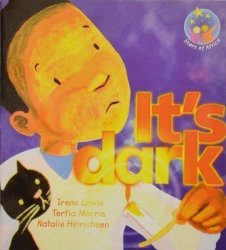 It& 39 S Dark: Grade 1: Reader Paperback