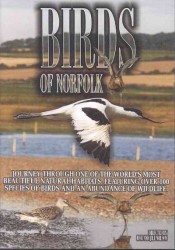 Birds Of Norfolk:bird Watchers Dream - Region 1 Import DVD