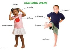 Chart: Hand In Hand Grade R Ndebele Umzimba Wami A2