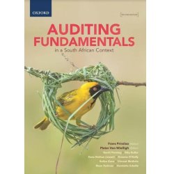 Auditing Fundamentals In A Sa Context 2ED