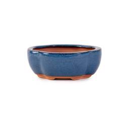 Assorted Glazed Bonsai Pots 5" - Blue Floriated 12 X 10 X 4.5CM
