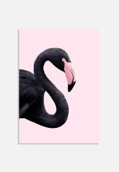 Paul Fuentes Black Flamingo