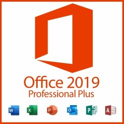 2019 Professional Plus Windows - 5 User Bundle