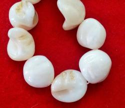 140 X 16mm White Polished Mother Of Pearl Shell Beads