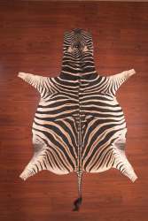 Aa Grade Zebra Hide 117 L - Large