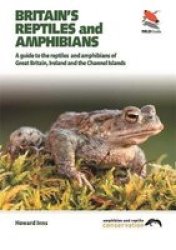 Britain's Reptiles And Amphibians - Howard Inns Paperback