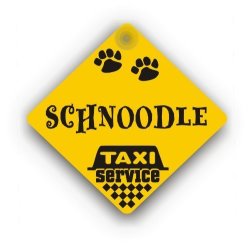 Schnoodle Taxi Service