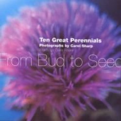 From Bud To Seed - Ten Great Perennials Hardcover