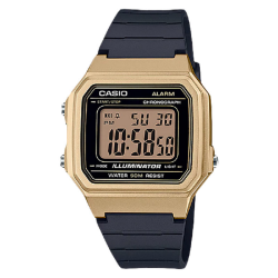 Casio Mens Illuminator Alarm Digital Watch - Gold Parallel Import