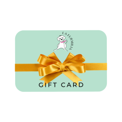 Gift Card - R 25 00