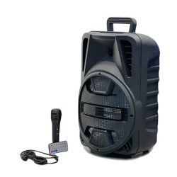 12 Inch Portable Karaoke Speaker With Mic+remote QL1206