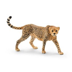 Wildlife - Cheetah Female