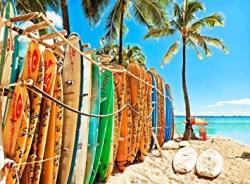 FKG Adult Jigsaw Puzzle Ocean Beach Surfboards Palm Trees Hawaii 500-PIECES