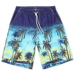 Mens Quick-drying Waterproof Seaside Vacation Beach Shorts Casual Loose Fifth S